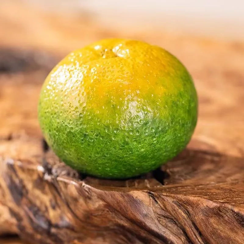 青桔 Lucky Lime - 图片 1